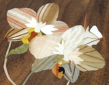 Table basse "Orchidées"