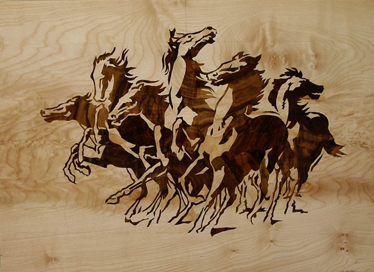 Chevaux sauvages
